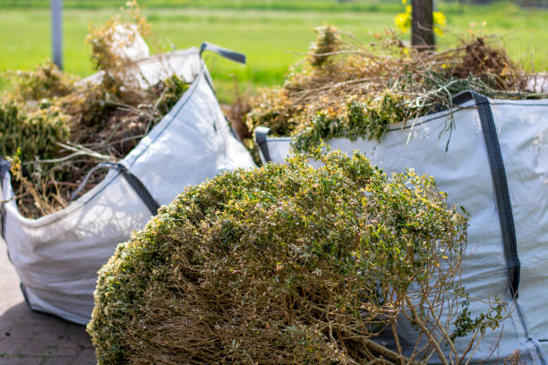 Best Same-Day Junk Removal  in North Aurora, IL